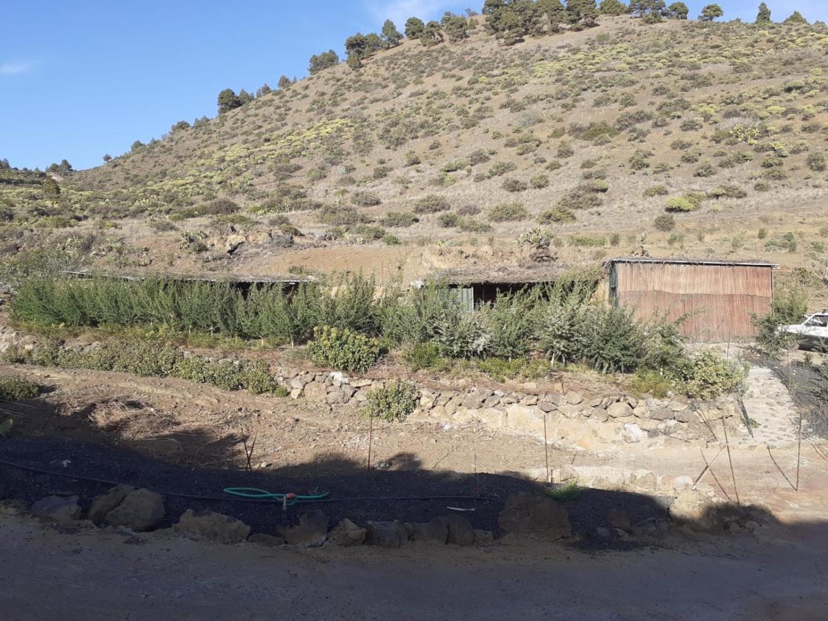 Casa Rural Los Santillos El Pinar  Eksteriør bilde