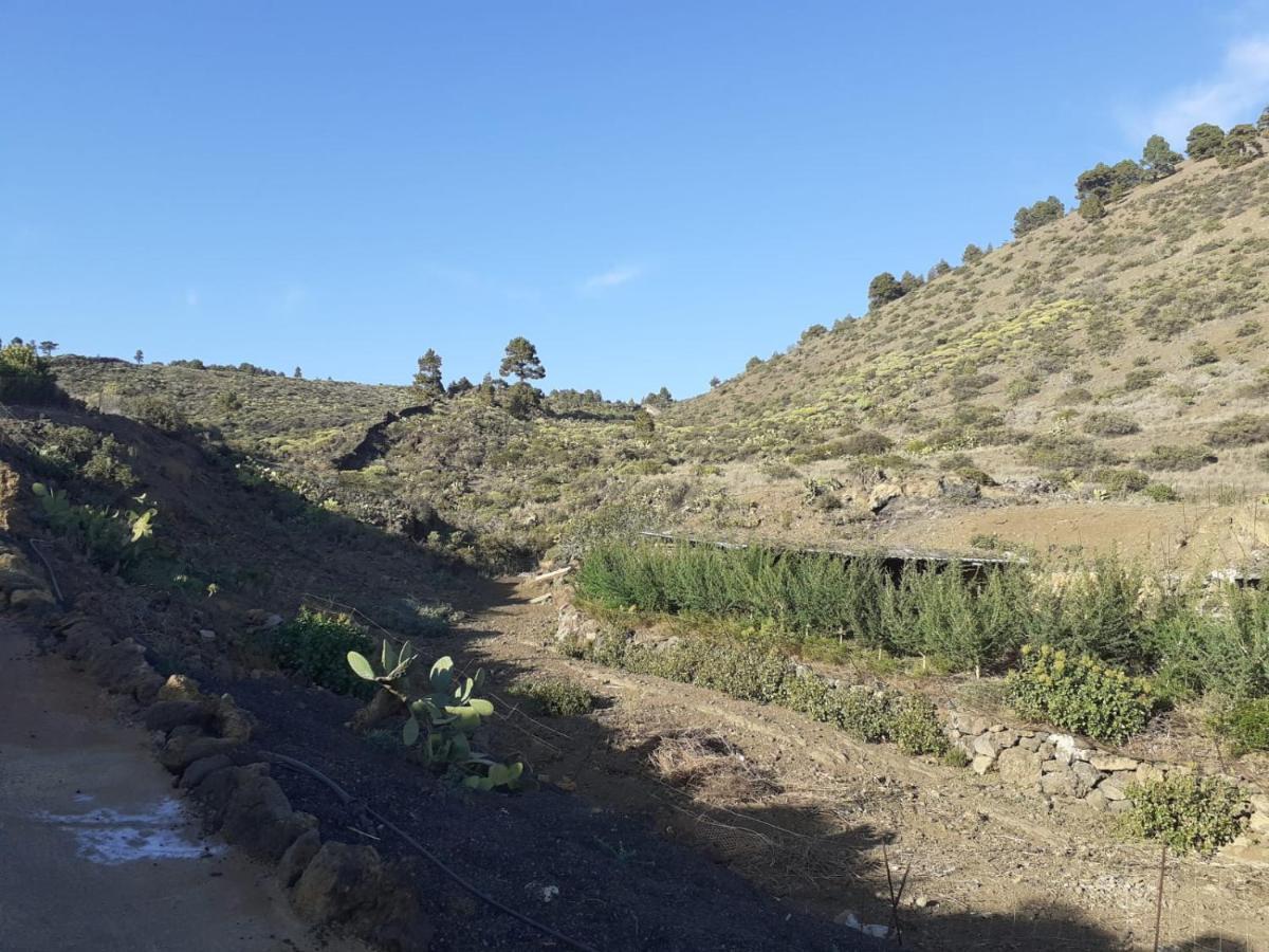 Casa Rural Los Santillos El Pinar  Eksteriør bilde